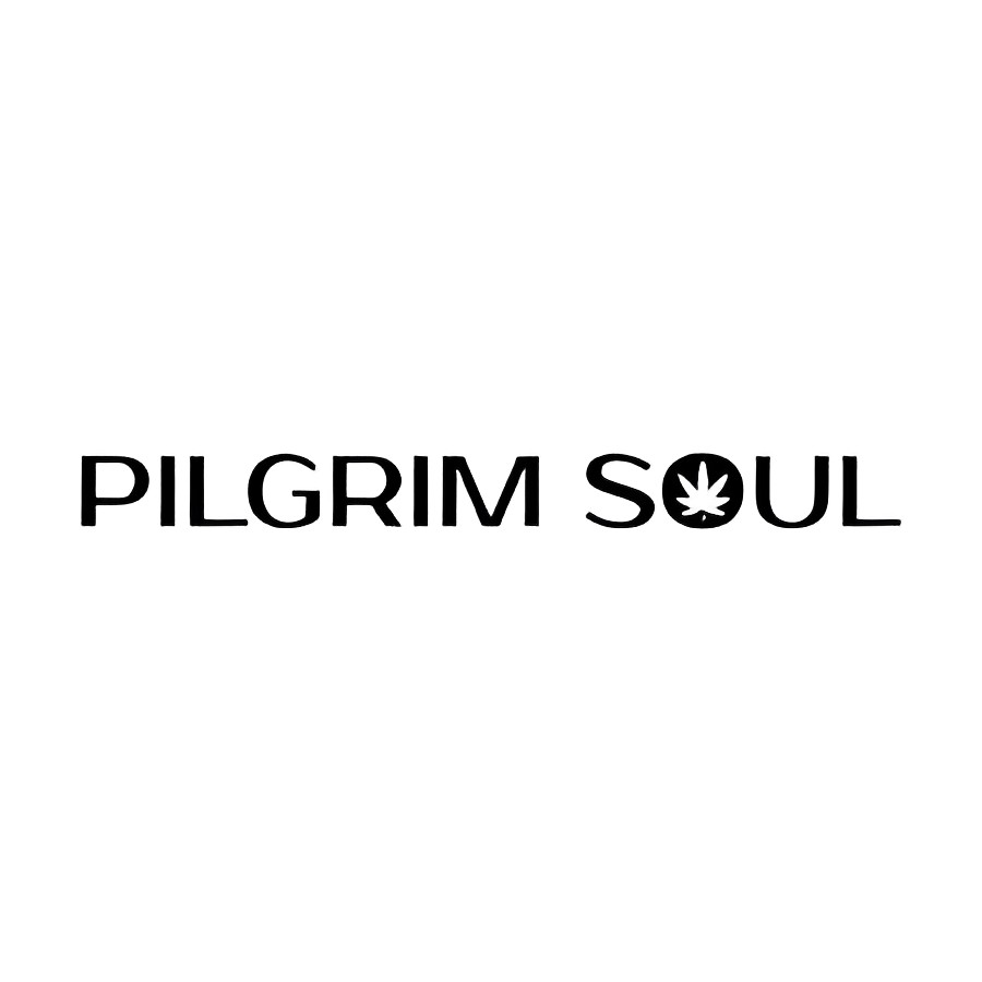 Pilgrim Soul