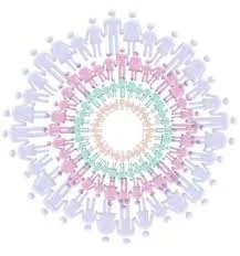 Counseling Exam Discount Code